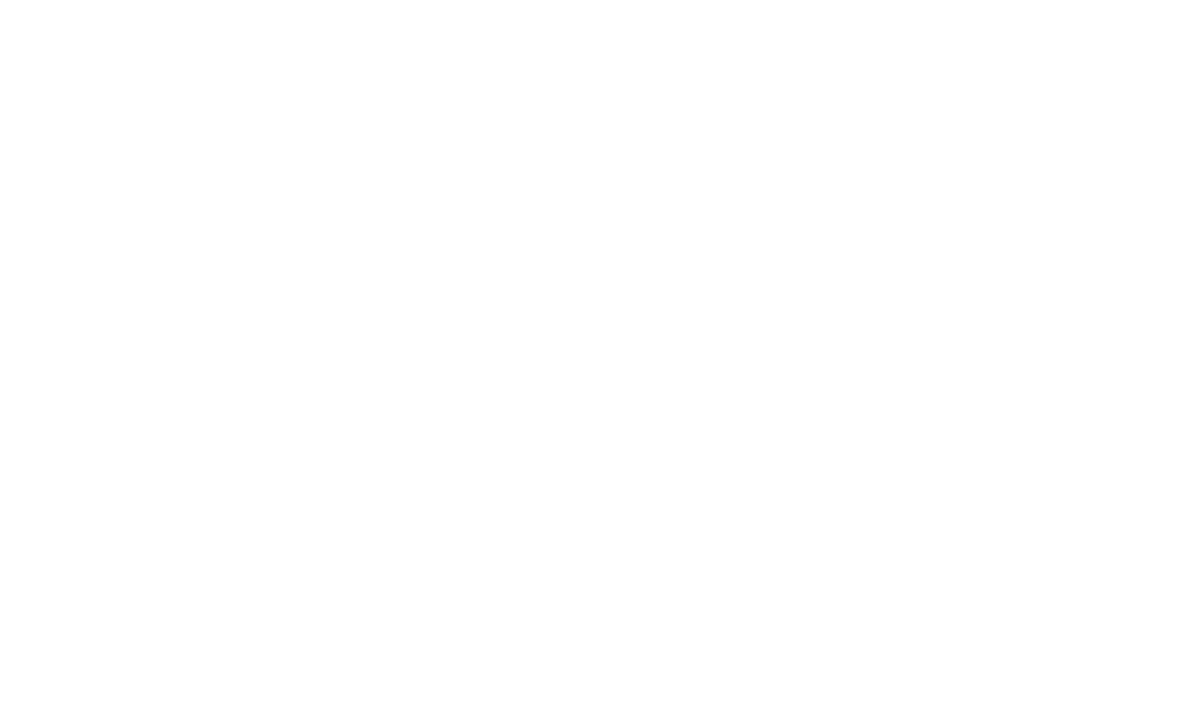 Payrito